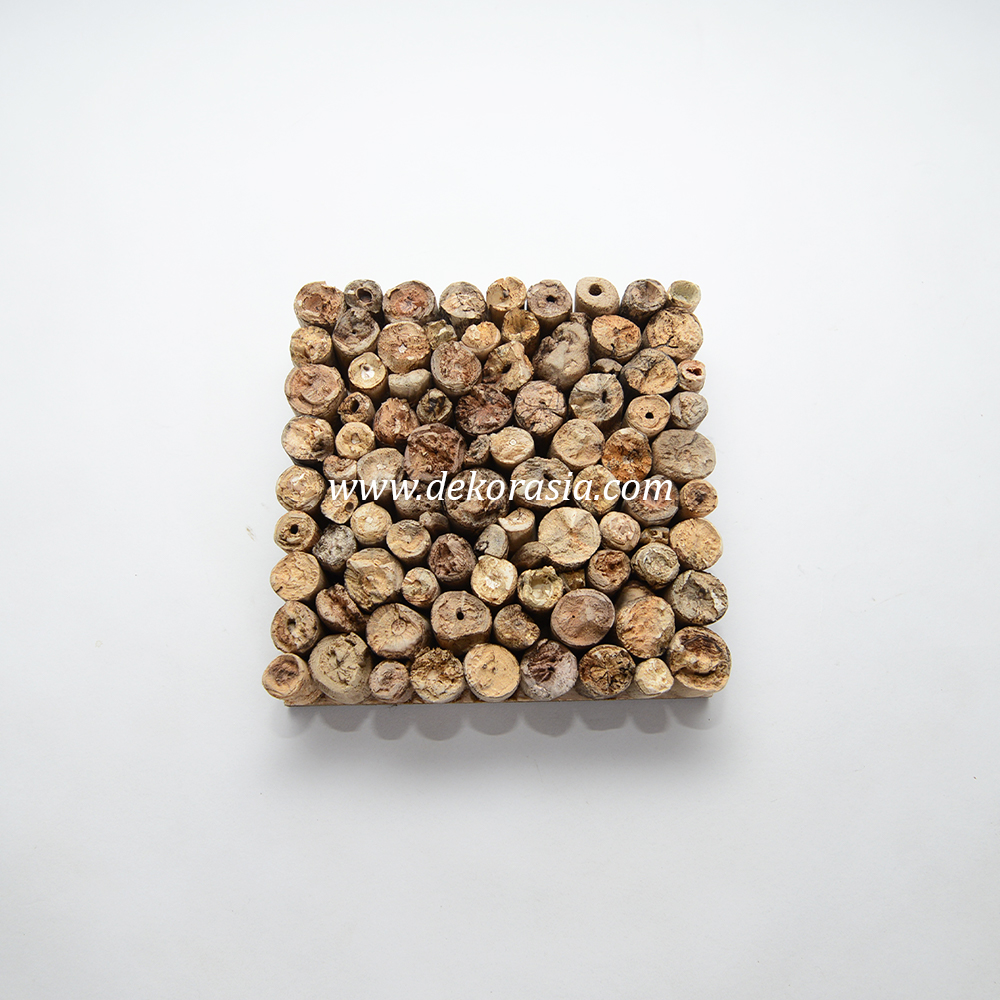 Driftwood or Plywood Mini Panels for Terrarium, and Reptile Enclosures